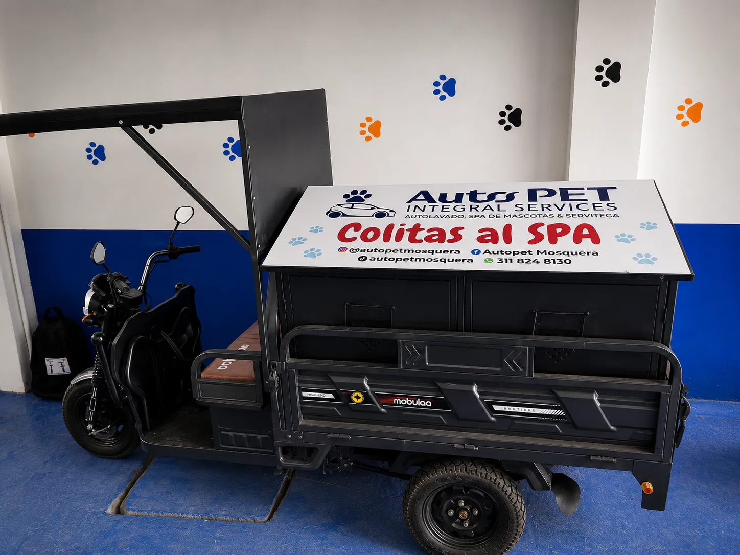 Vehículo eléctrico AutoPET — Colitas al SPA