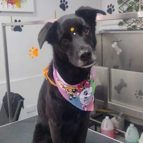 Frida