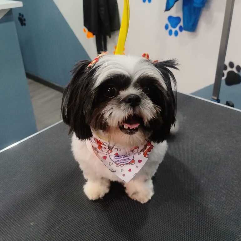 Lili