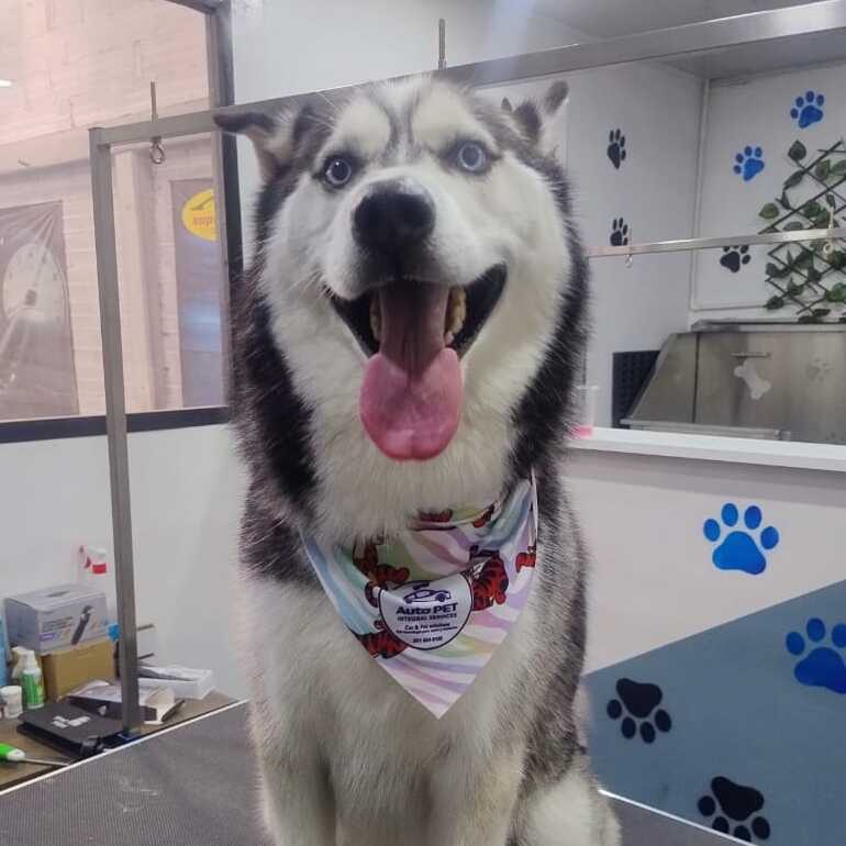 Max