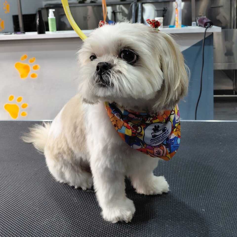 Mia