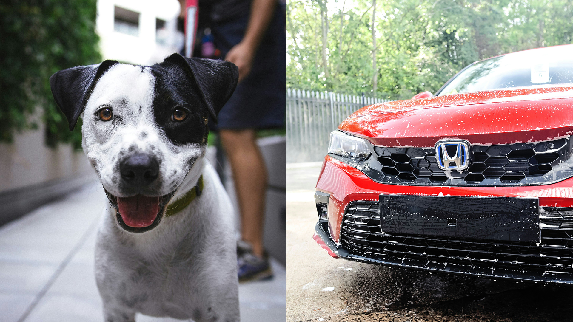 Imagen principal de los servicios de Auto PET