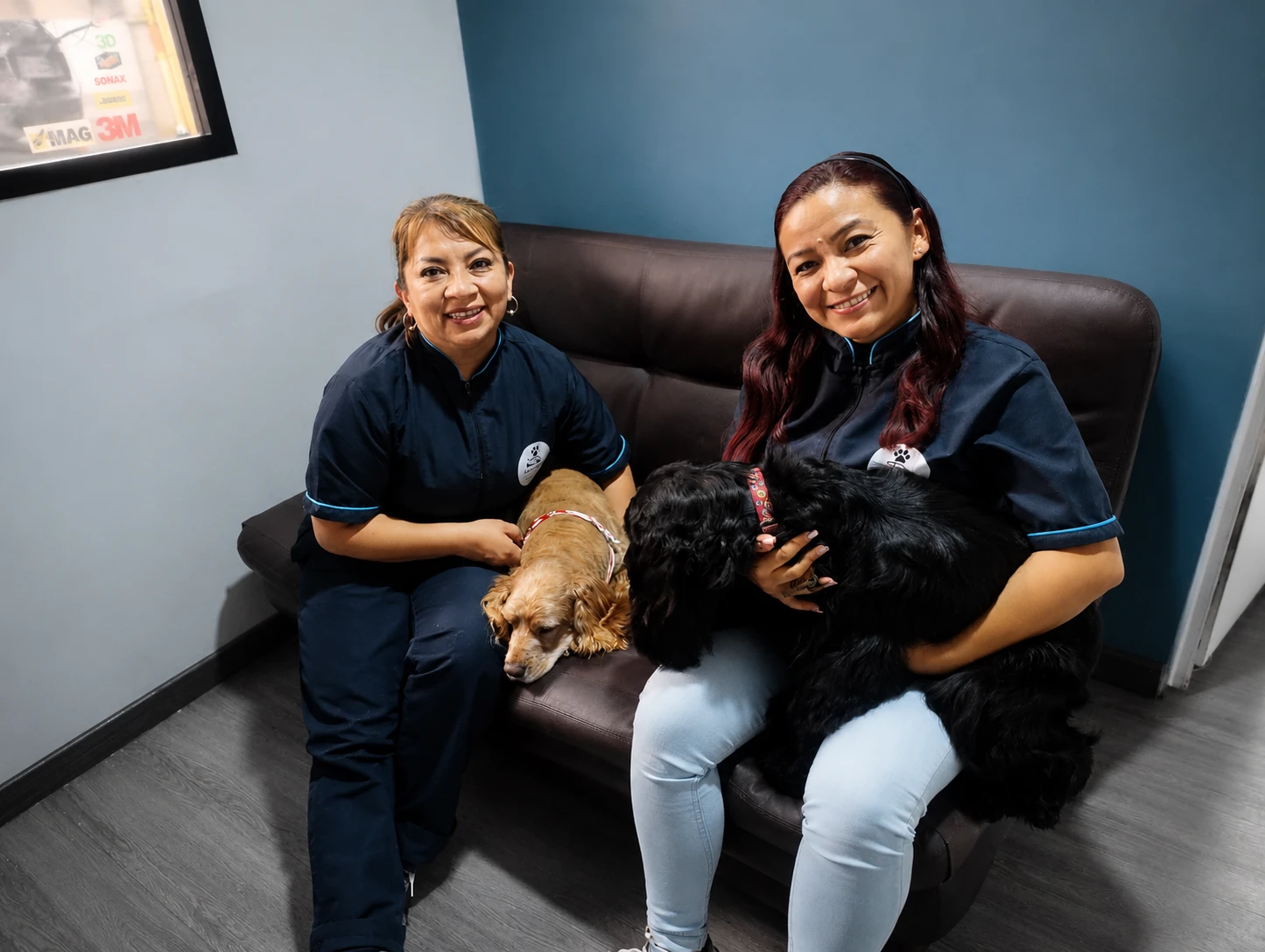 Servicio de Pet Spa